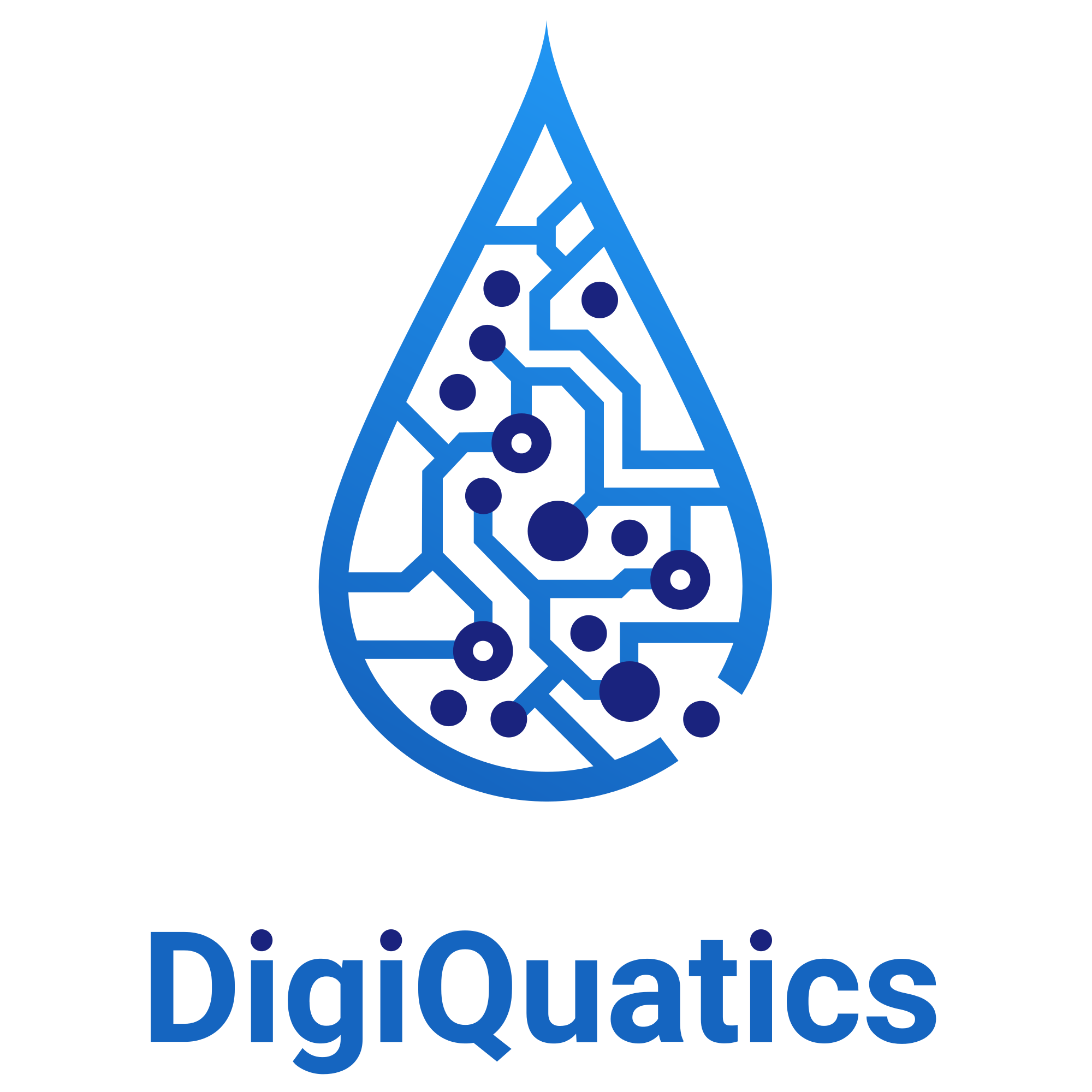 DigiQuatics Logo
